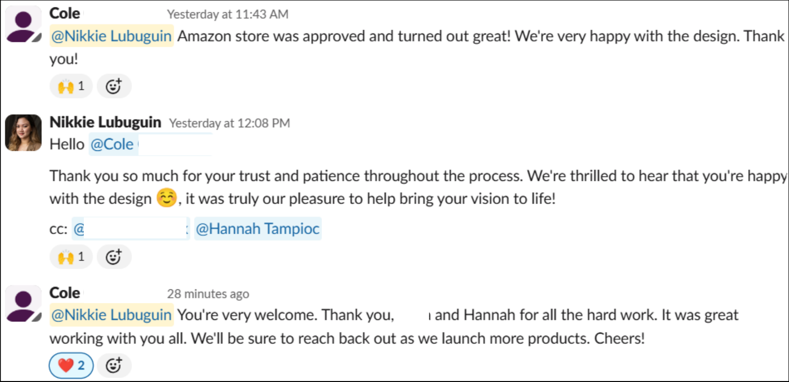 Original client message: Amazon store was approved and turned out great! We're very happy with the design. Thank you!